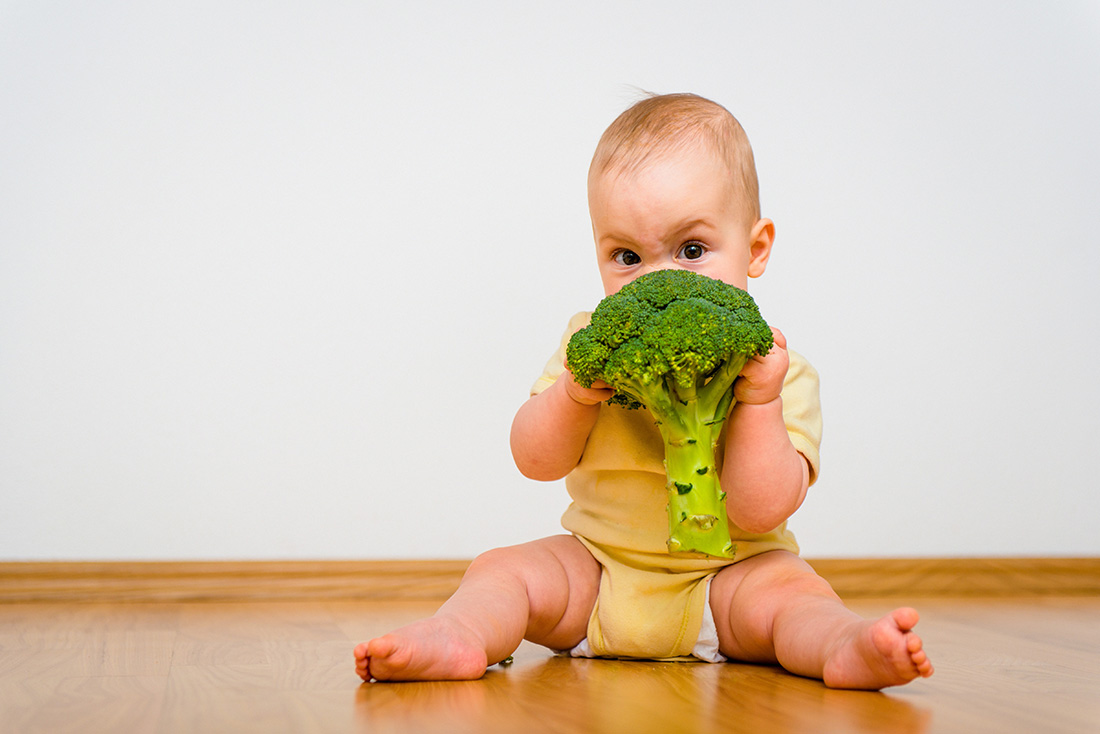 A alimentação dos bebés no Outono e Inverno