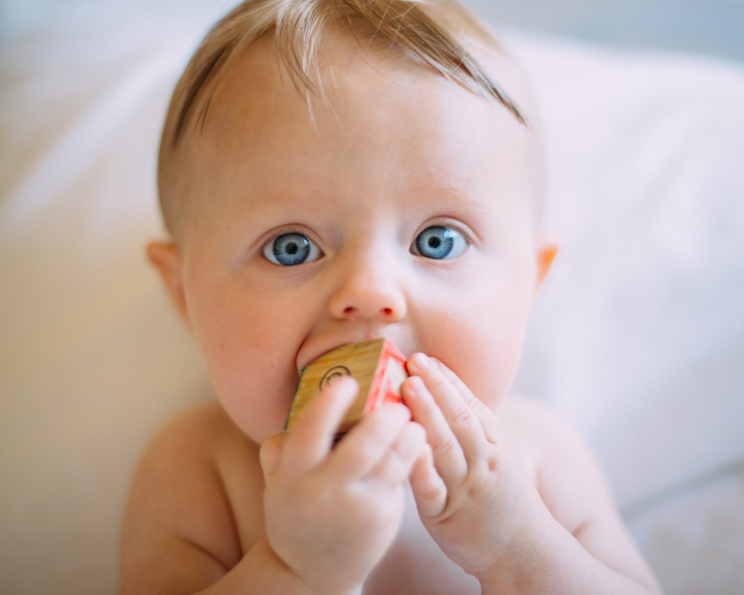 O Bebé e a Baba: Tudo o que precisa saber sobre esta etapa